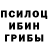 Псилоцибиновые грибы Cubensis gamer 111