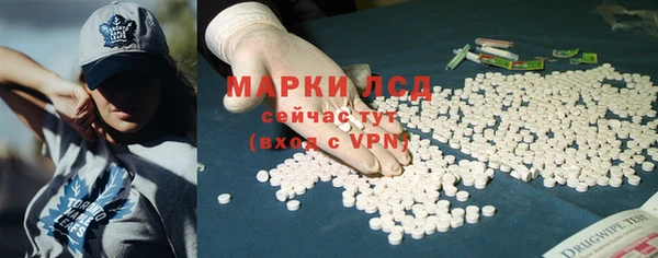 прущие грибы Нягань