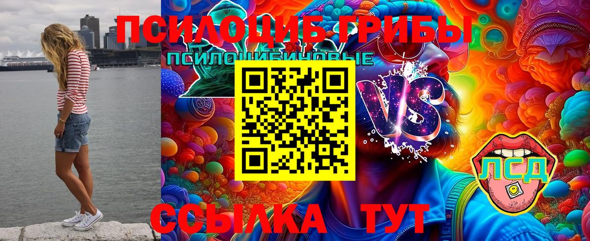 Галлюциногенные грибы MAGIC MUSHROOMS  Вход с VPN  закладки  Алапаевск 
