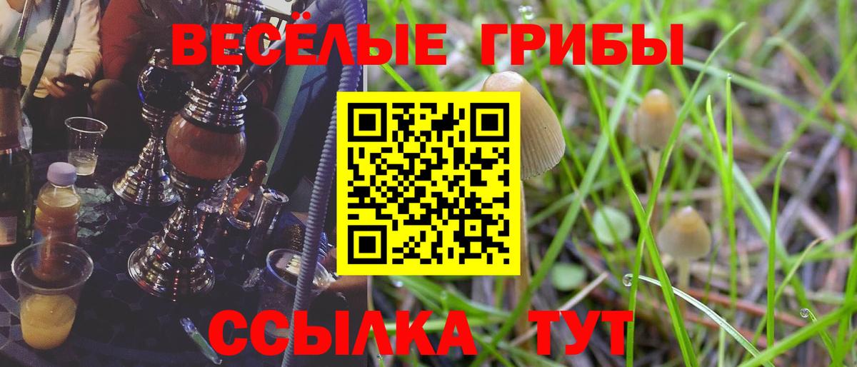 Псилоцибиновые грибы прущие грибы Алапаевск