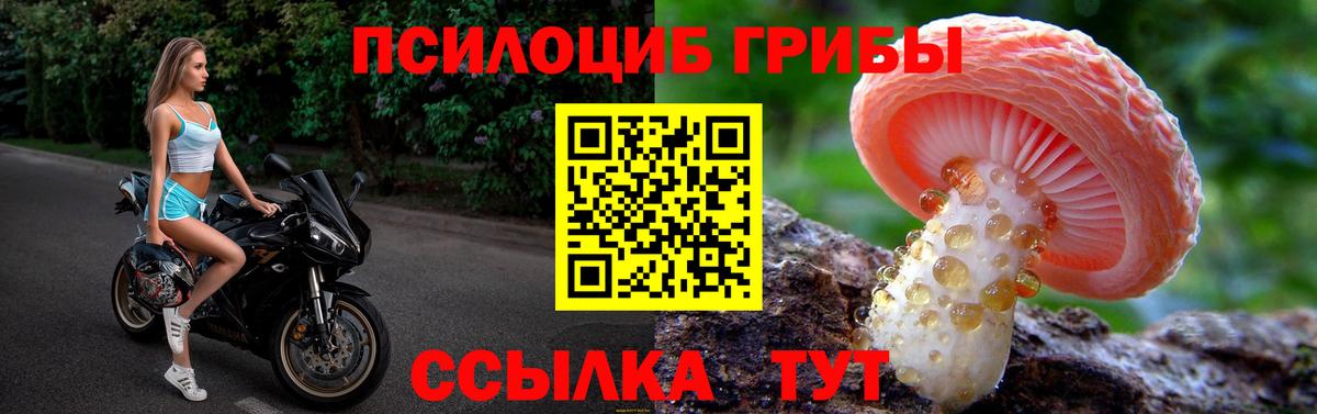 Псилоцибиновые грибы мицелий  Галлюциногенные грибы Psilocybine cubensis  что такое   Алапаевск 