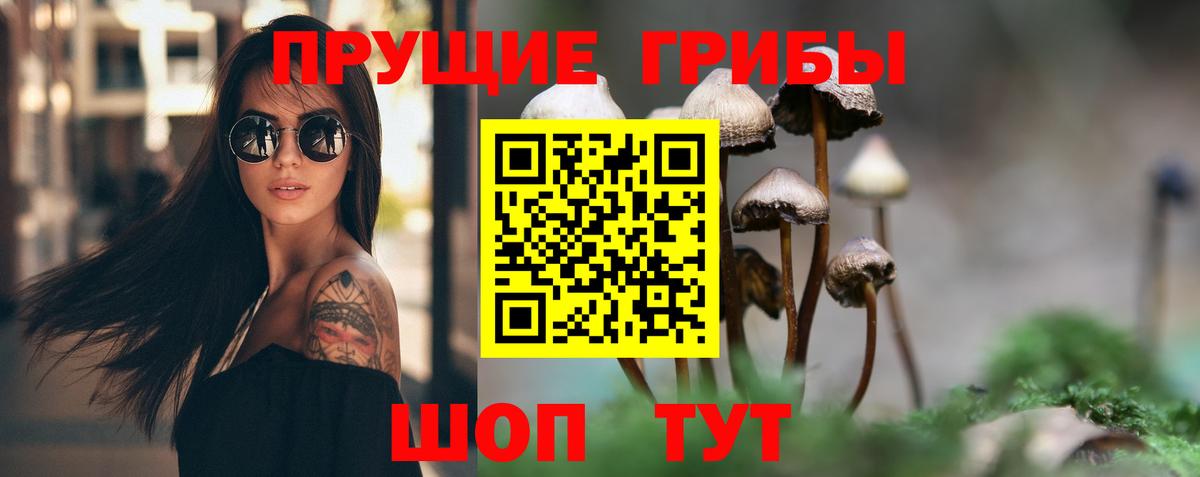 Галлюциногенные грибы MAGIC MUSHROOMS Алапаевск