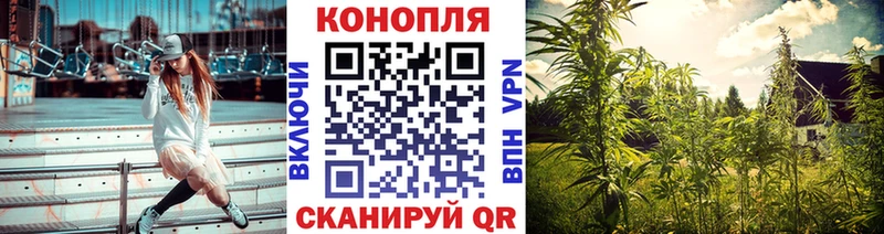 дарнет шоп Алапаевск Каннабис сатива